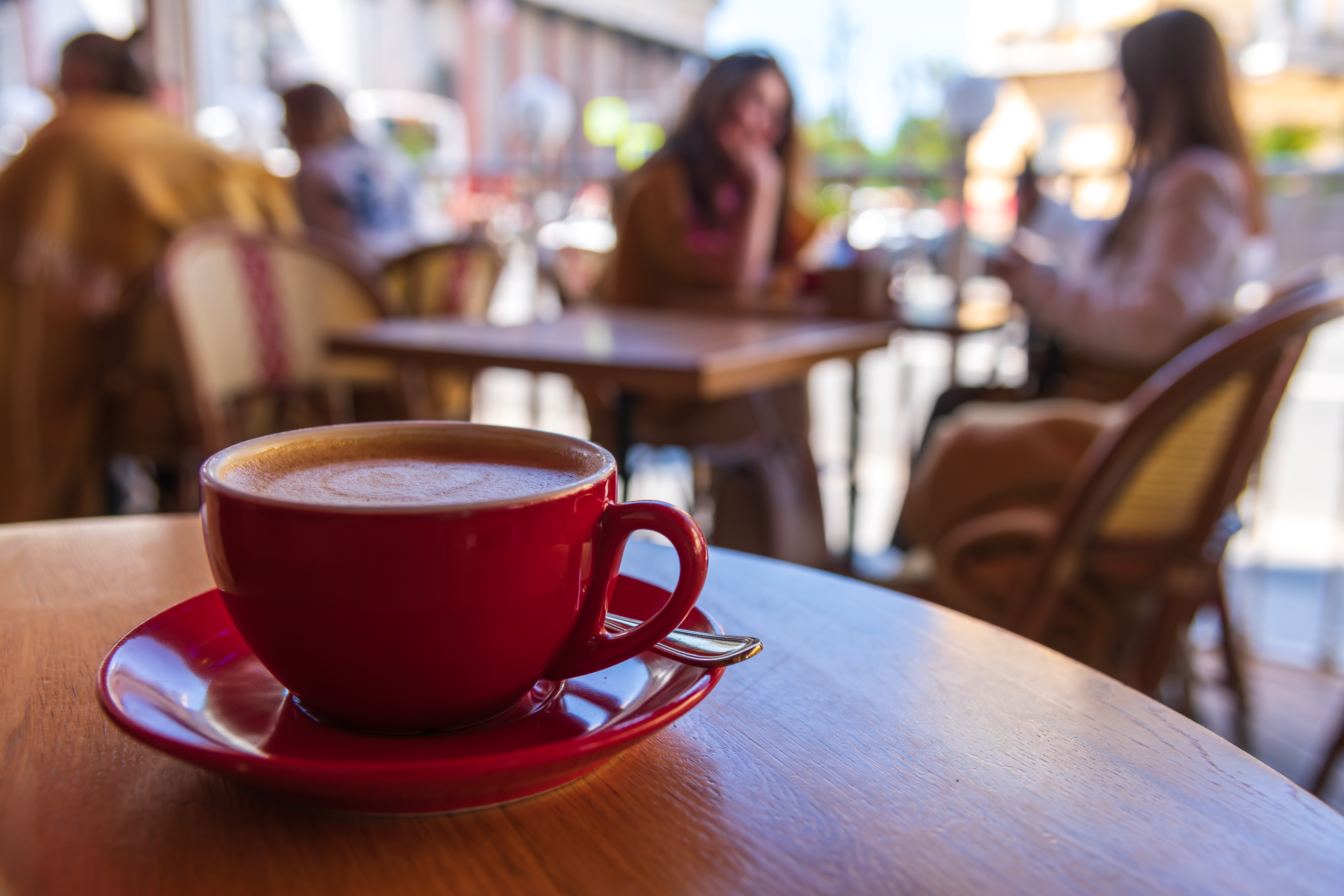 sarasota coffee houses - gulf & bay club bayside